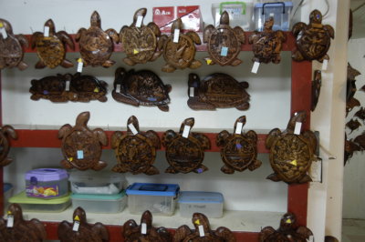 Story boards @ The Palaun Jail