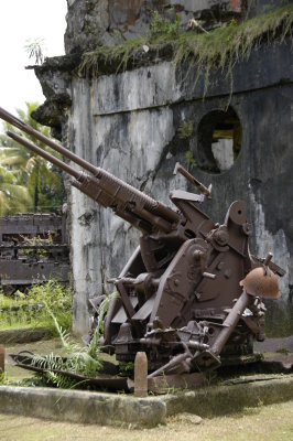 Anti Aircraft gun