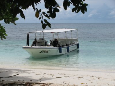 Fish & Fins Boat