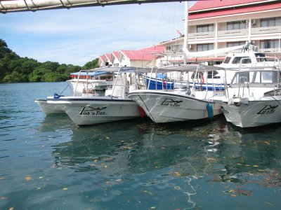 Fish & Fins Fleet of Dive Boats