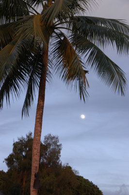 Moon over Palau at PPR last Night