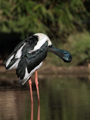 g1/20/685320/3/127016367.tzxoeKAP.jpg