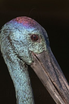 g1/20/685320/3/127016370.VJuB0wbl.jpg