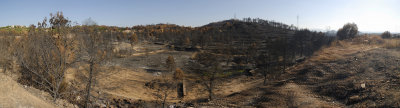 Incendio en Castellón, cerca de Alcora, Julio de 2009.
