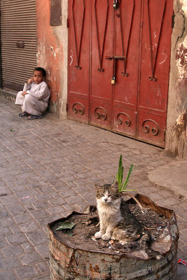 le chat et lenfant