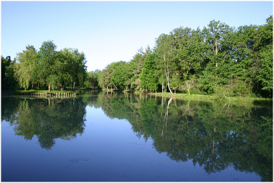 tang de Sologne -  Sologne pond