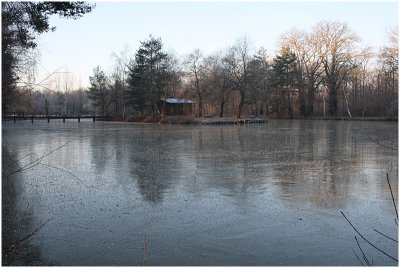 etang gel -  frozen pond