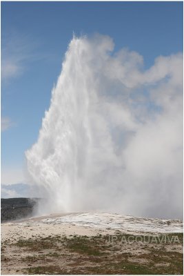 geyser old faithful.JPG