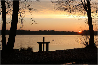 Etang  l'aube - Pond at dawn.JPG