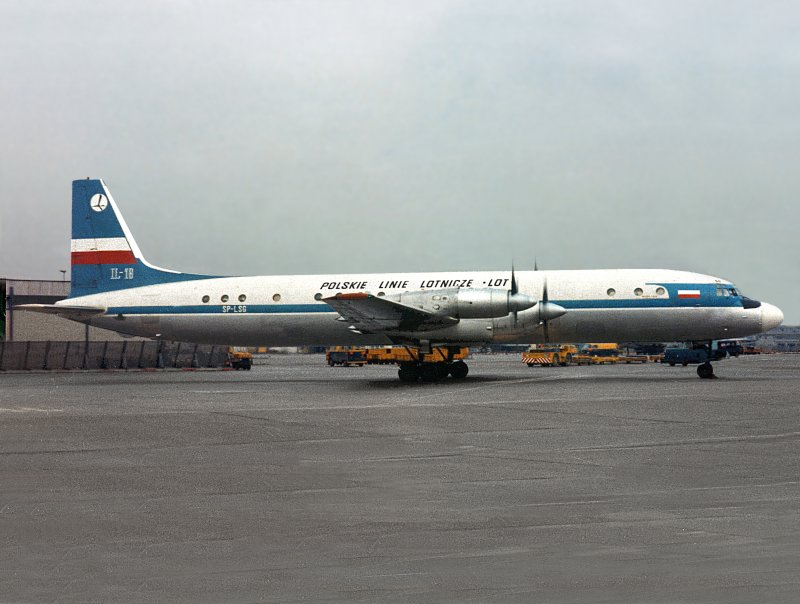IL-18  SP-LSE