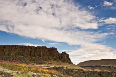 Oregon-6.jpg