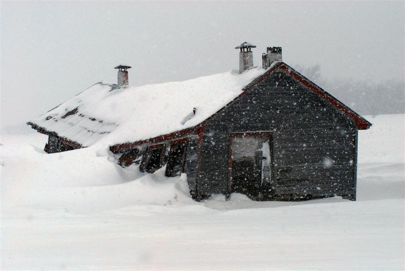Glilles Tremblay picture