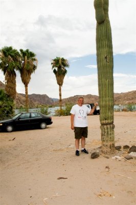 Death valley and Arizona Desert