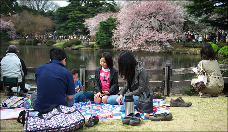 Shinjuku Gyoen April 2009