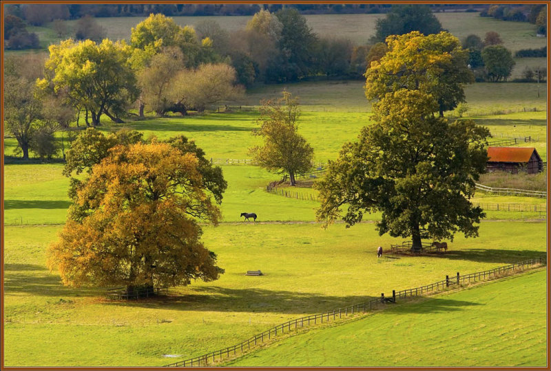 Autumn, Thames Valley, Stud Farm