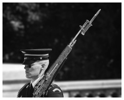 Guard at the Tomb of the Unkown