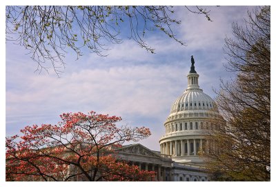 The Dome of United States Capitol from SE side