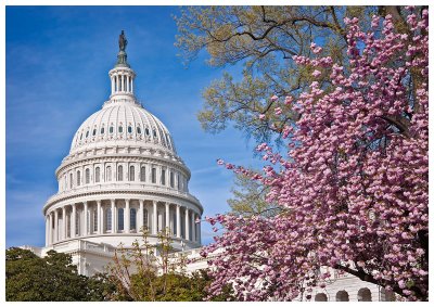 Capitol Dome from SW