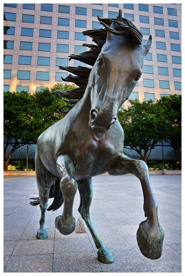The horse sculpture in Williams Square
