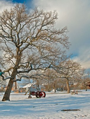 Tractor under big tree