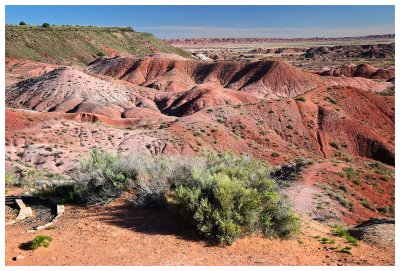 Painted desert