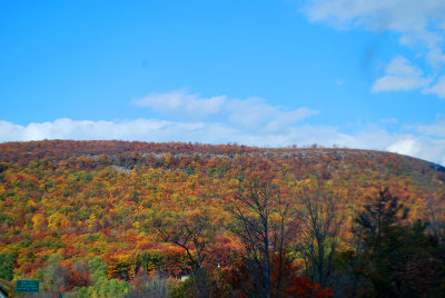 Autumn Color in the Pocanos Mountains