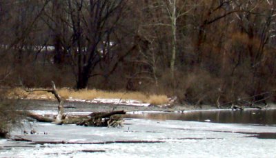 The Mouth of Fall Creek