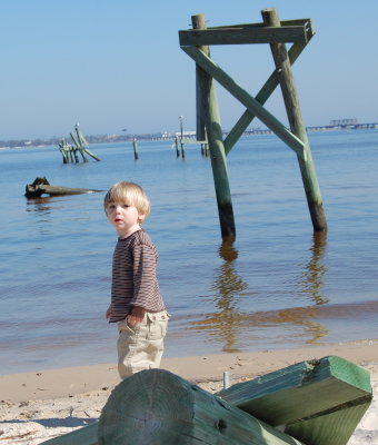 Evan and Birds