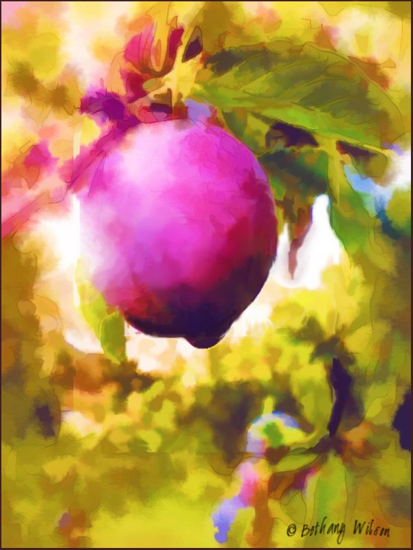 juicy plum watercolor