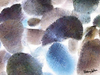shells and stones