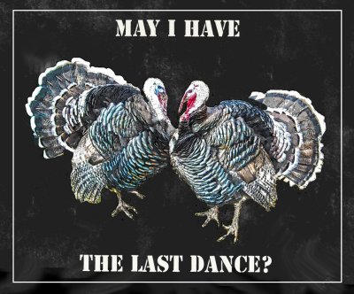 turkey card.jpg