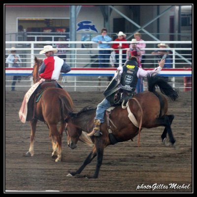 rodeo in Cody