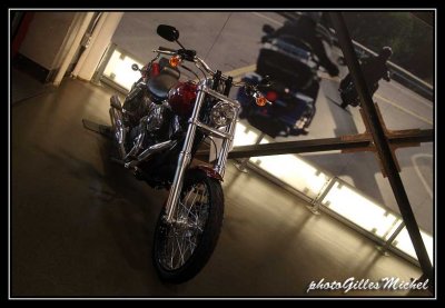 Harley35.jpg