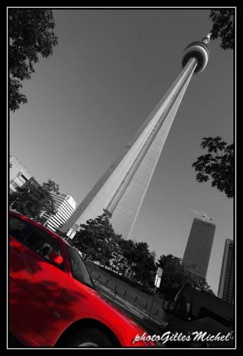 Toronto388.jpg