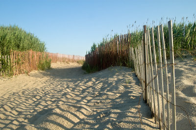 The Beach Path
