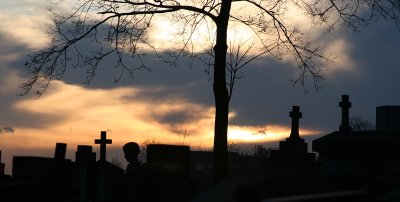 The Salwator Cemetery