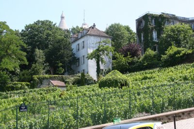 Montmartre - the only wine-producing vineyard n Paris