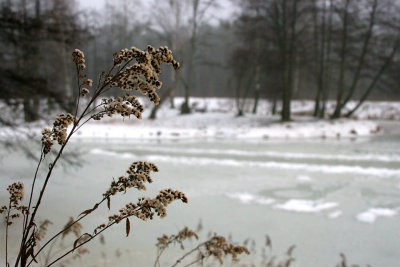 Zalesie lakes 1