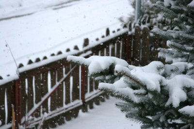 Snow on 23 January