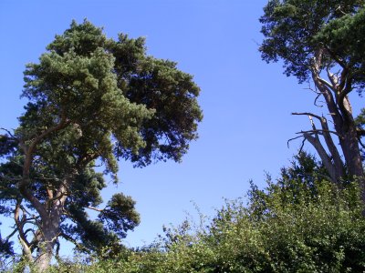 27th Aug 2007 026.jpg