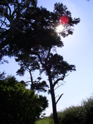 27th Aug 2007 044.jpg