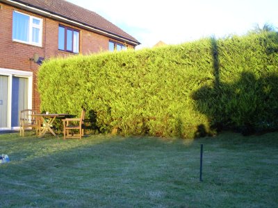 Rear garden