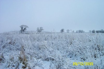 DCP_2094.JPG