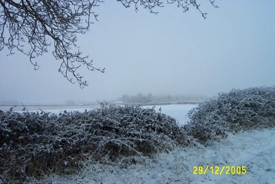 DCP_2109.JPG