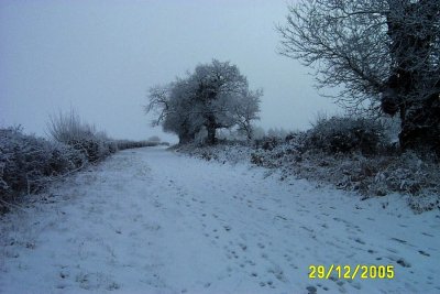 DCP_2116.JPG