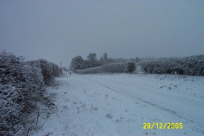 DCP_2123.JPG