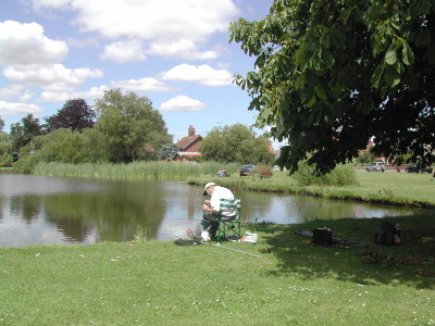 The Pond