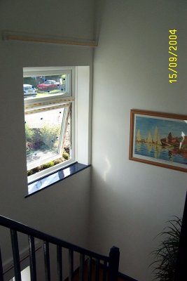 windows29