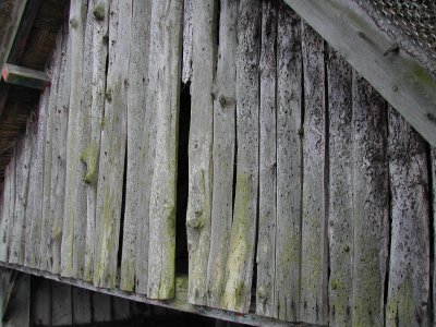 Fairhaven 110409 045
