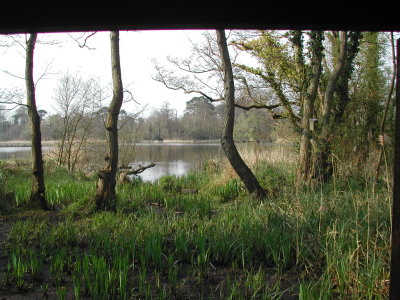 Fairhaven 110409 051